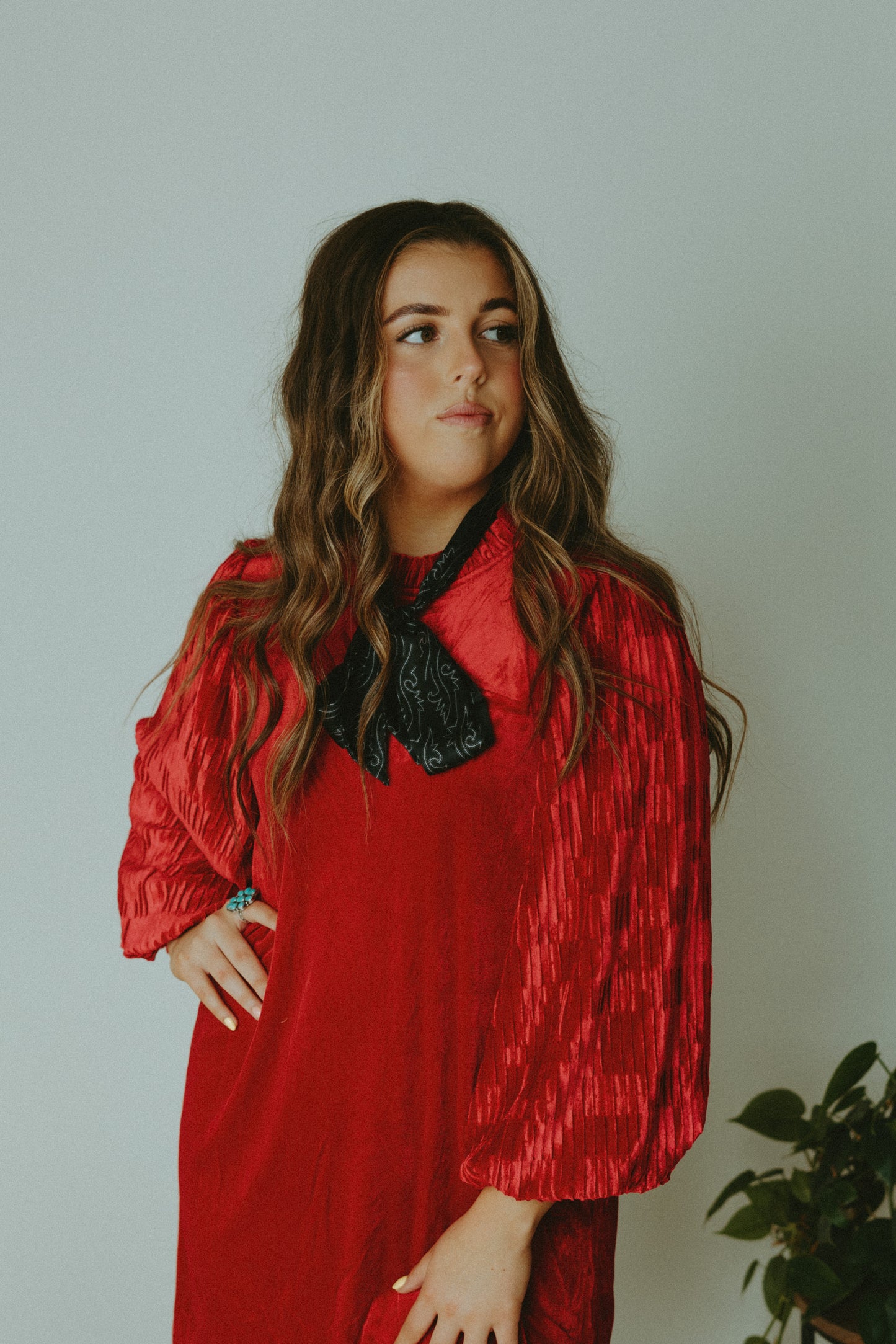 Red Velvet Dress